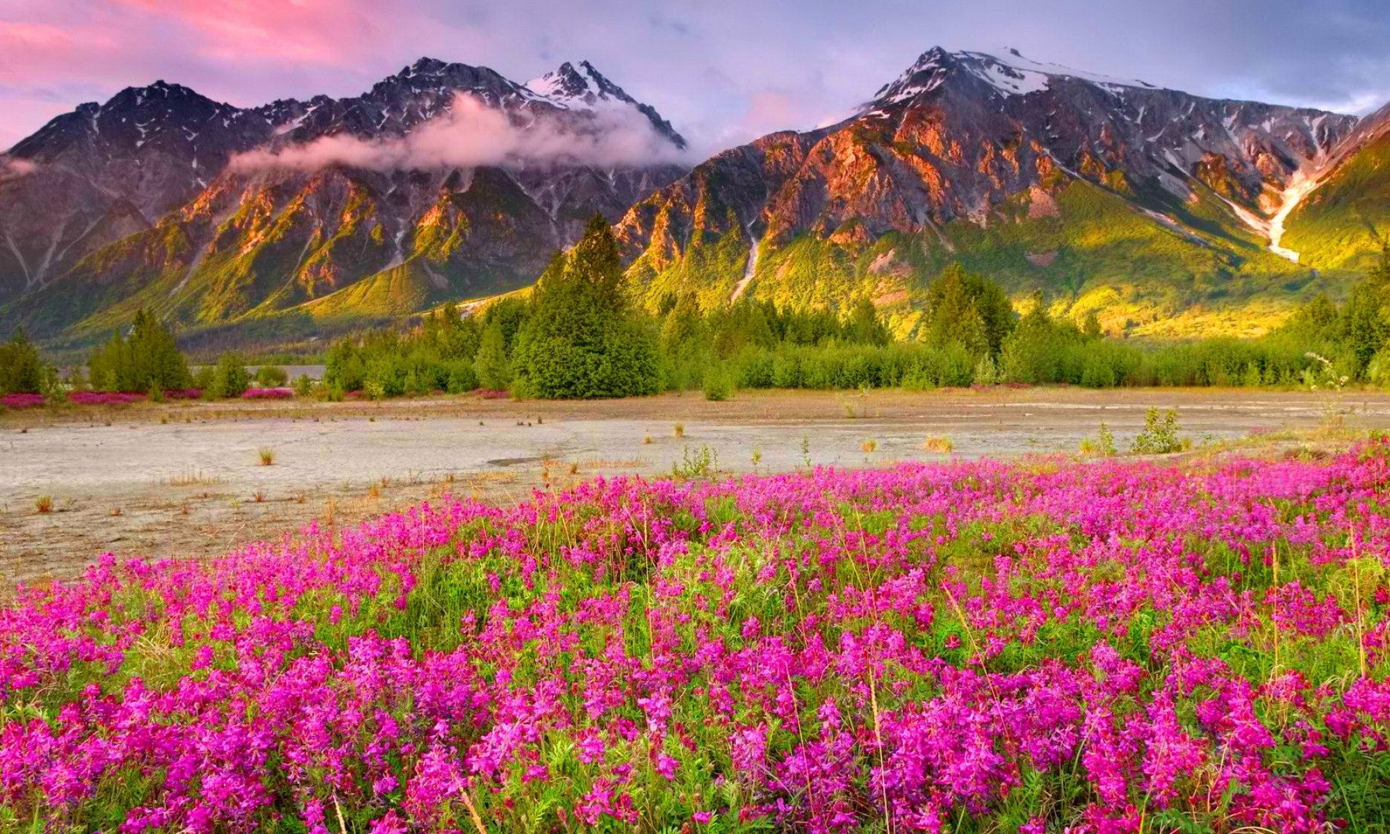 Screw It - Let's Dew It